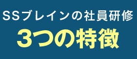 SSブレイン 3つの特徴